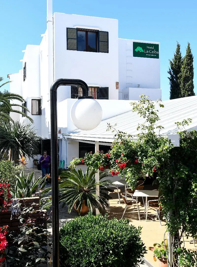 Affittacamere Hostal La Ceiba Cala D´Or